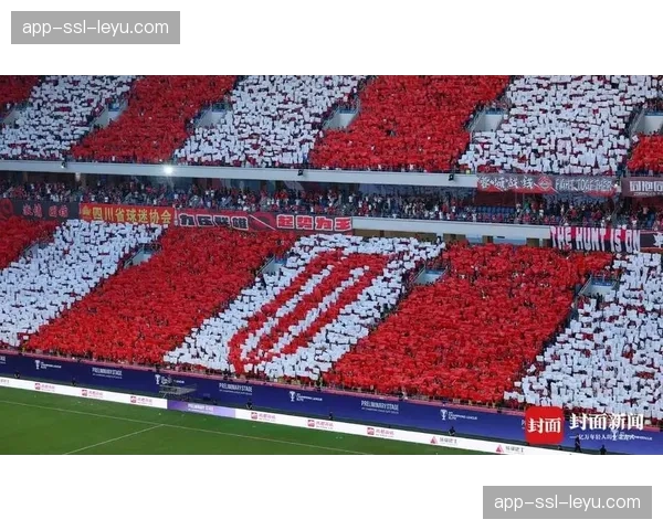特写:国米夺冠夜,北看台巨型TIFO与全场掌声 特写:国米夺冠夜,北看台巨型TIFO与全场掌声